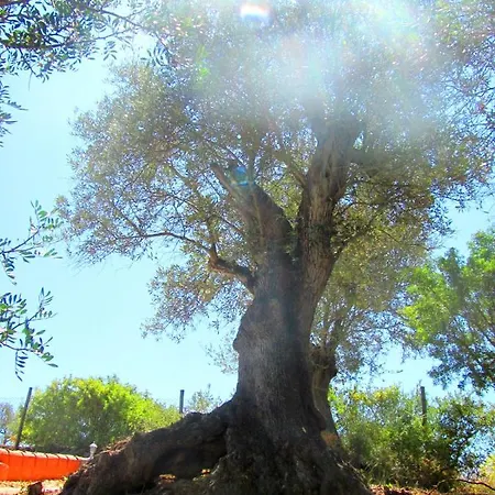 Vivenda Cascata